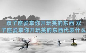 双子座爱拿你开玩笑的东西 双子座爱拿你开玩笑的东西代表什么